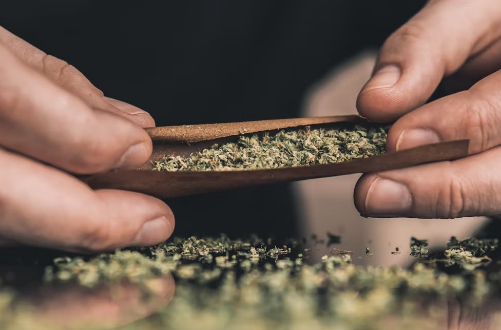 Why is Loose Leaf FTP Perfect for Blunts