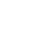 daily pet logo