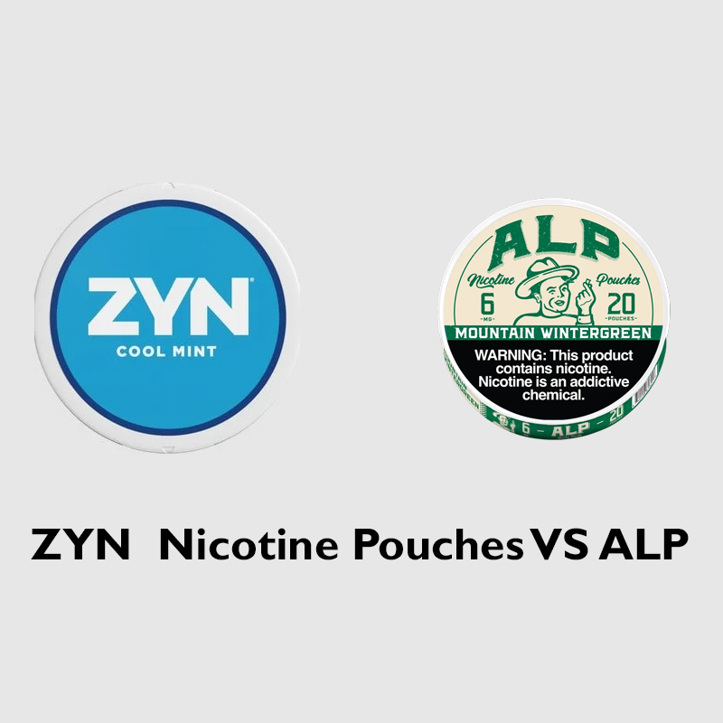 ZYN Nicotine Pouches Vs ALP: What Is the Difference?