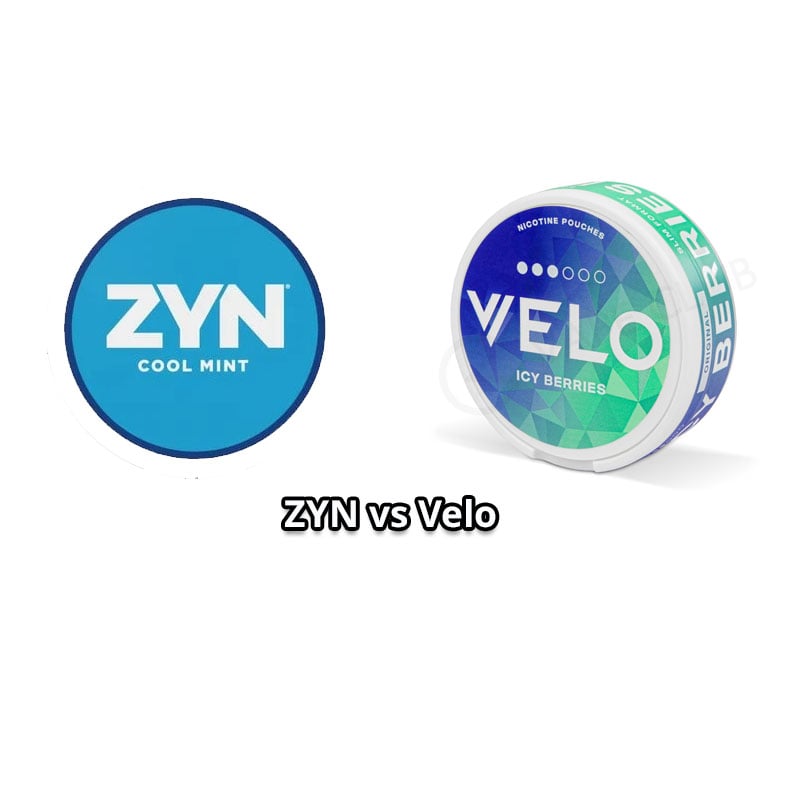 ZYN vs Velo: Which One Stands Out?